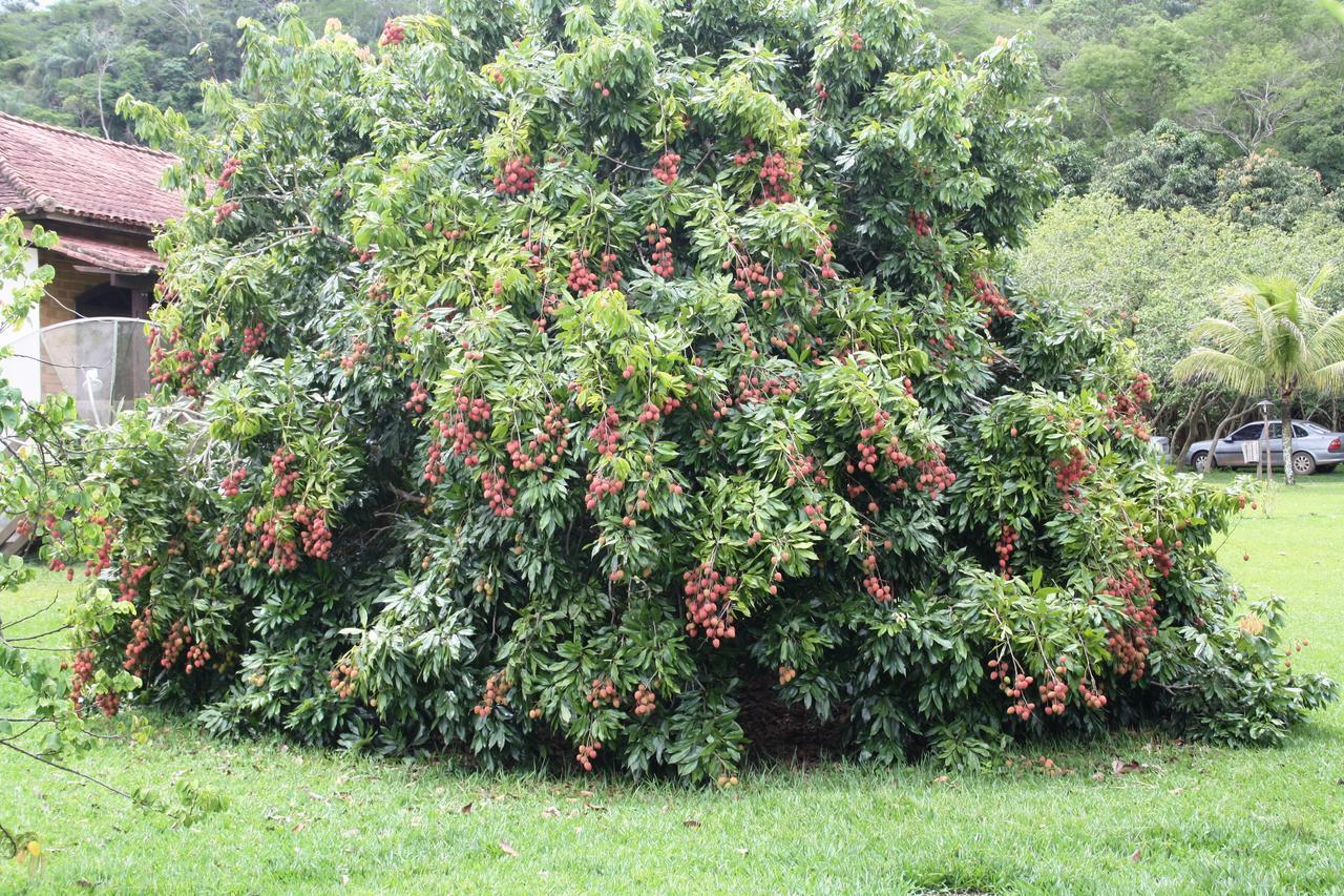 Hotel Fazenda Canario Da Terra Rio Novo Buitenkant foto